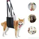 Dog Lift Support Harness - Durable and Easy to Use 4