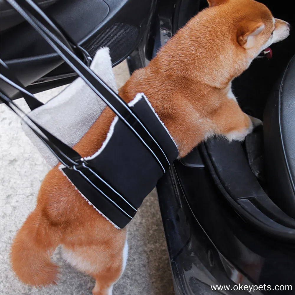 Dog Lift Support Harness - Durable and Easy to Use 3
