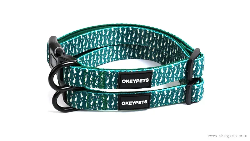 Collier pour chien personnalisé OKEYPETS avec boucle en métal, réglable et durable, pour chiots de petite, moyenne et grande taille. 1