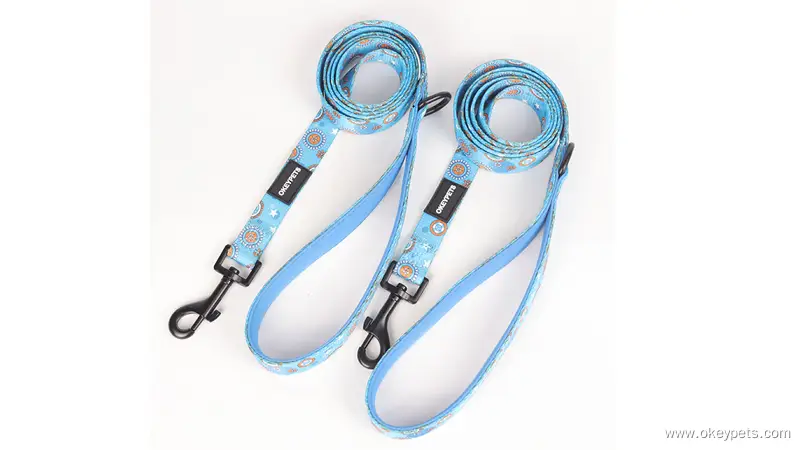 OKEYPETS Accessoires mignons et résistants grâce à la technologie spéciale de sublimation colorée pour chien 1