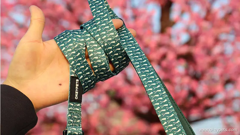 OKEYPETS - OKEYPETS Hurtowa, wysokiej jakości regulowana smycz dla zwierząt z nadrukiem sublimacyjnym, neoprenowa smycz dla psa, smycz dla zwierząt 1
