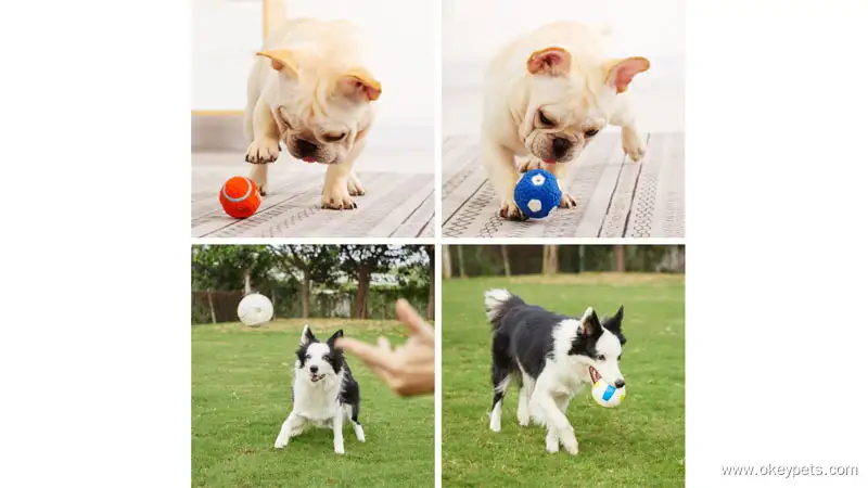 도매 애완동물 공 용품, 발성 라텍스 애완동물 장난감, 던지는 애완동물 씹는 장난감, 축구공, 배구공 1