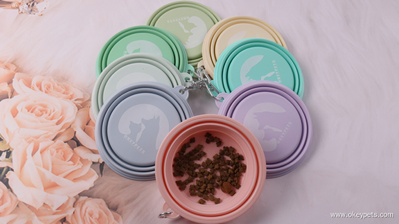 Chien buvant dans une gamelle de voyage pliable en silicone pendant une randonnée