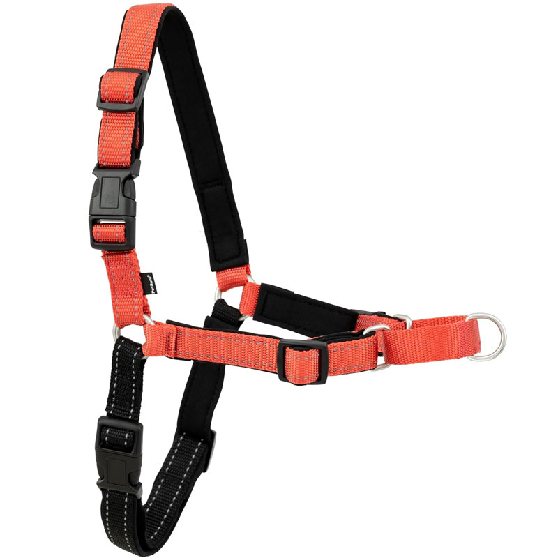 Harnais pour chien en forme de Y qui évite toute restriction des épaules et favorise les mouvements naturels