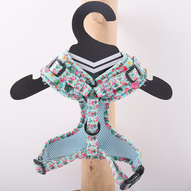 Harnais pour chien à attache dorsale avec laisse fixée au dos du chien pour les promenades décontractées