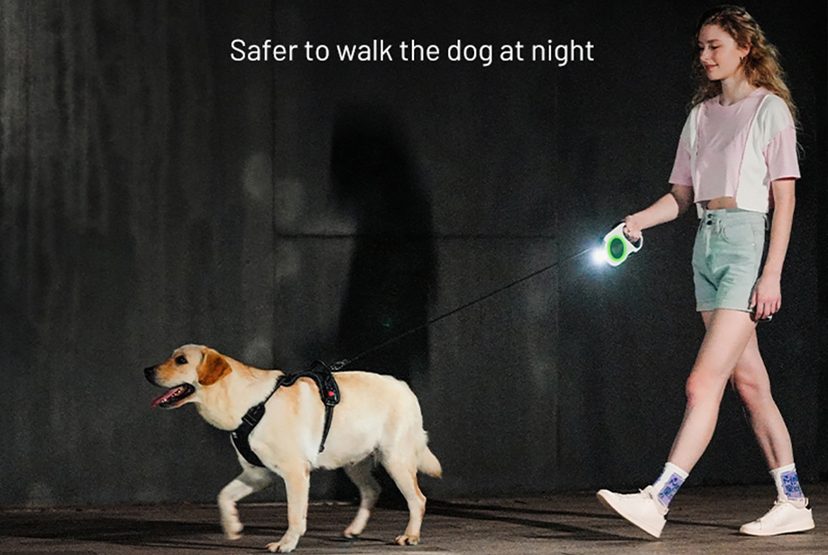 L'avenir des promenades nocturnes : découvrez la laisse rétractable pour chien OKEYPETS LED 2.0 3