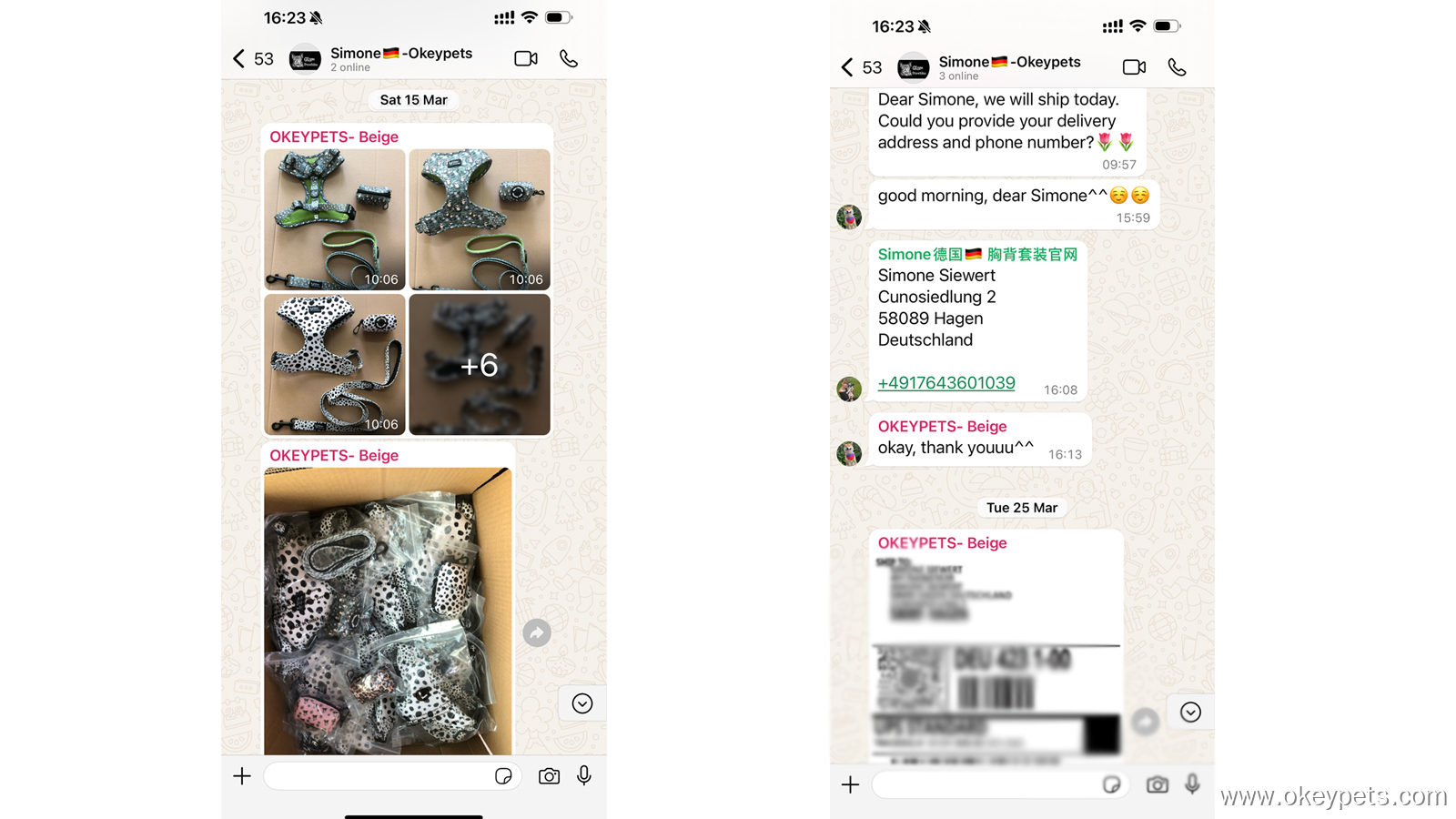 Казус за персонализиране на комплект нагръдници за кучета за немски клиенти 6