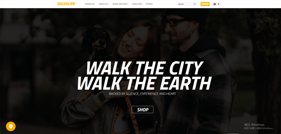 10 marques de colliers pour chiens de confiance en 2025 2