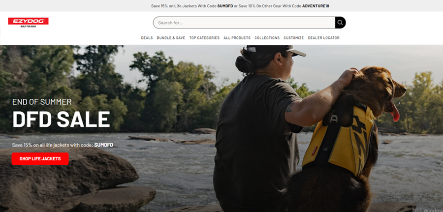 10 marques de colliers pour chiens de confiance en 2025 6