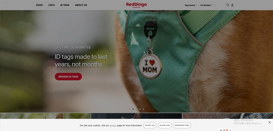 10 marques de colliers pour chiens de confiance en 2025 7