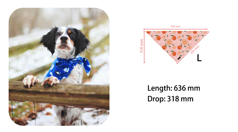 Der ultimative Leitfaden zur Auswahl des perfekten Hundehalstuchs 4