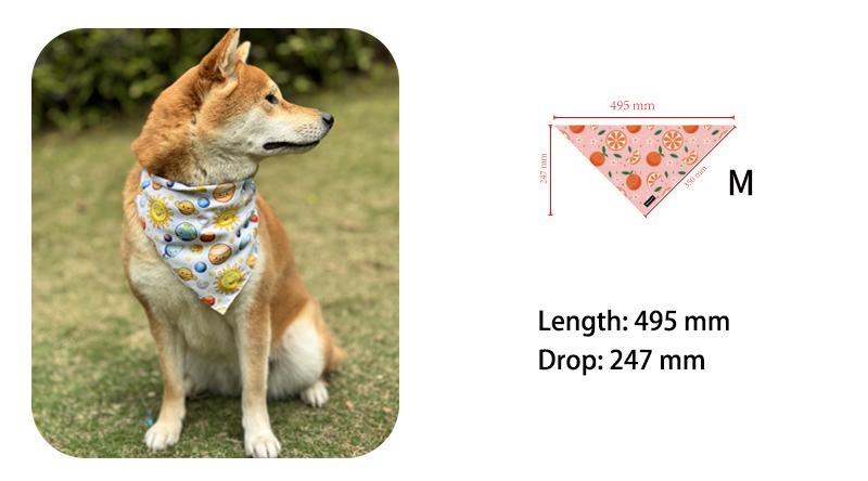 Der ultimative Leitfaden zur Auswahl des perfekten Hundehalstuchs 3