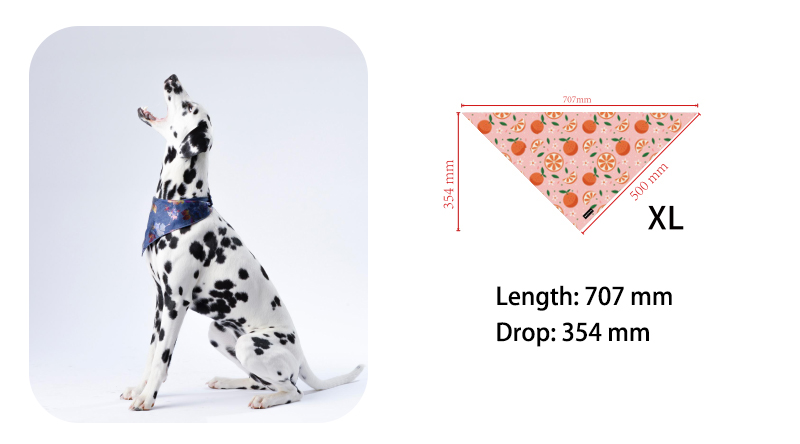 Der ultimative Leitfaden zur Auswahl des perfekten Hundehalstuchs 5