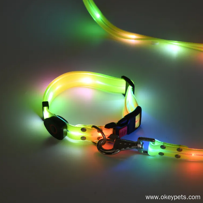 Collaria Canina: Res Necessariae Tabernae Animalium Vendendae 4