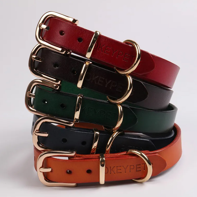 최고의 강아지 목줄 고르는 방법 3