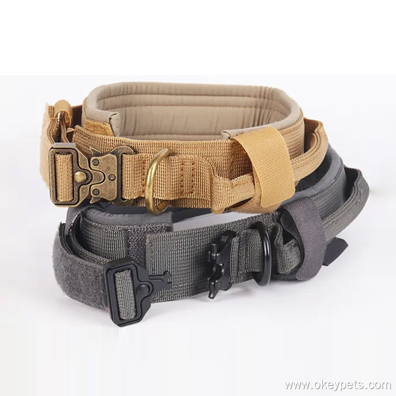 Comment choisir le meilleur collier pour chien 2