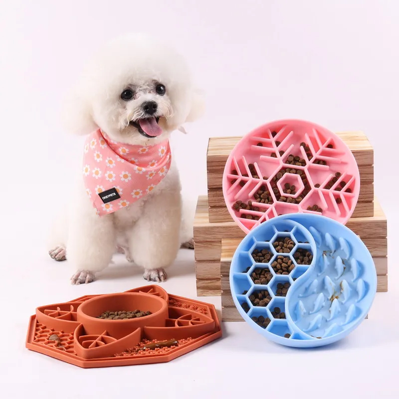 Les 10 meilleures gamelles pour chiens de 2025 6