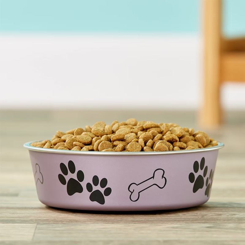 Les 10 meilleures gamelles pour chiens de 2025 17