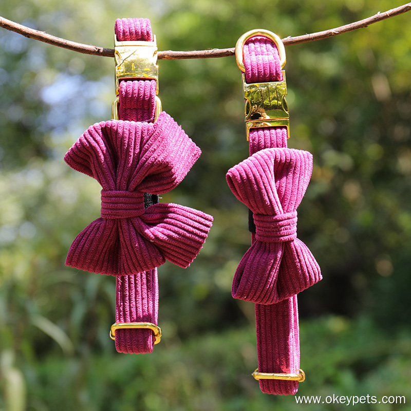 최고의 강아지 목줄 고르는 방법 7