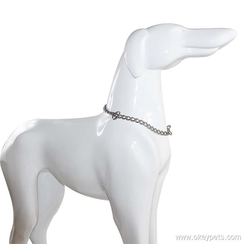Comment choisir le meilleur collier pour chien 5