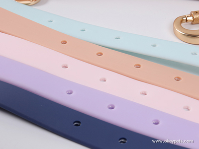 Hur man anpassar hundhalsband och koppel 9