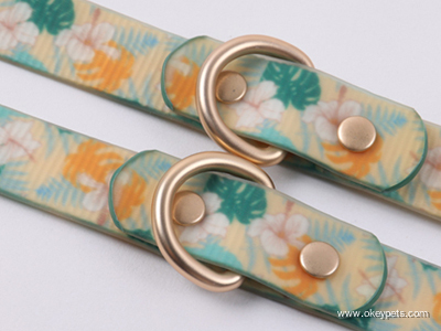 Hur man anpassar hundhalsband och koppel 10