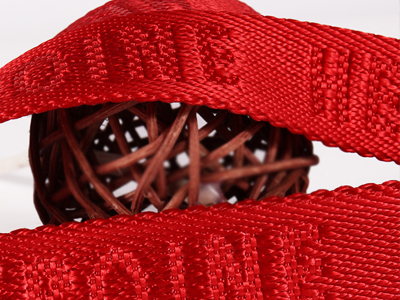 Hur man anpassar hundhalsband och koppel 8