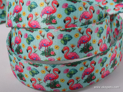 Hur man anpassar hundhalsband och koppel 7