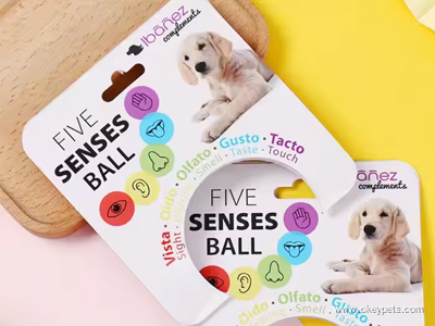 Hur man anpassar hundhalsband och koppel 14