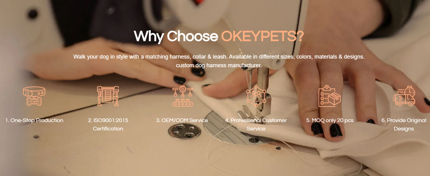 Топ-10 лучших производителей держателей для пакетов для собачьих экскрементов в 2025 году 3