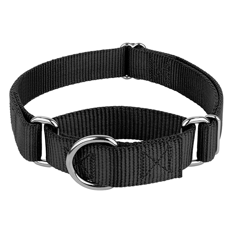 10 najbolje prodajanih ovratnic za pse leta 2026 7