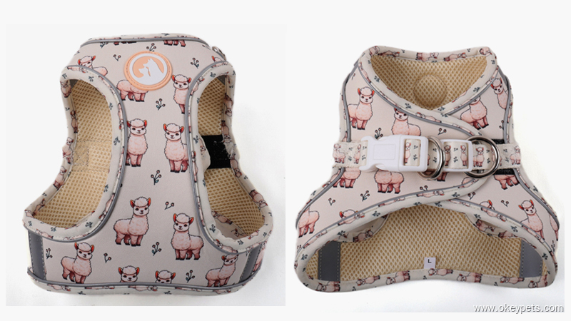 Comment choisir le harnais idéal pour petit chien 3