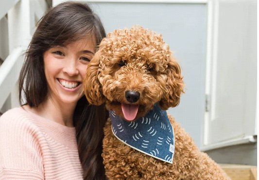 Top 10 des meilleurs fabricants de bandanas pour chiens 2