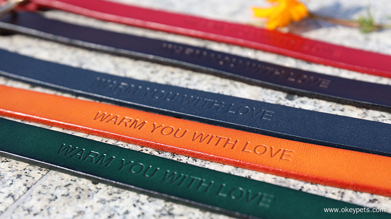 Laisses pour chiens : quel type convient le mieux à votre chien ? 8