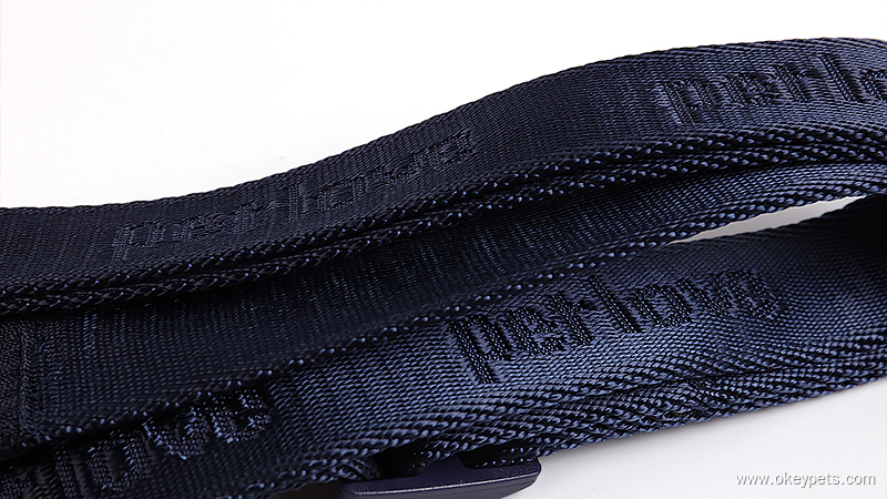 Laisses pour chiens : quel type convient le mieux à votre chien ? 7