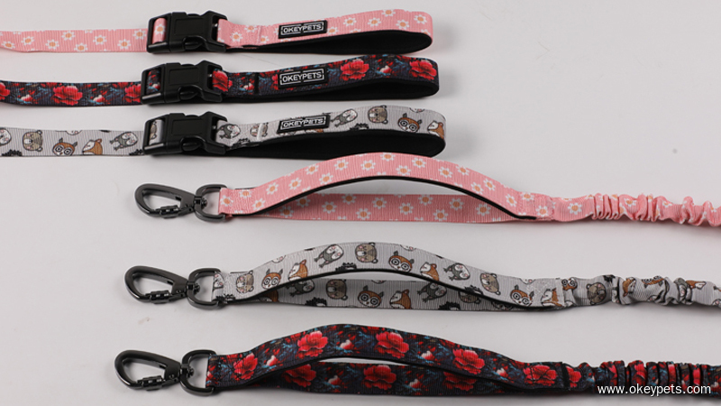 Laisses pour chiens : quel type convient le mieux à votre chien ? 3