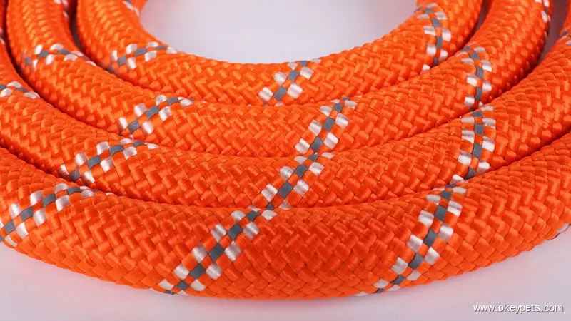 Laisses pour chiens : quel type convient le mieux à votre chien ? 12