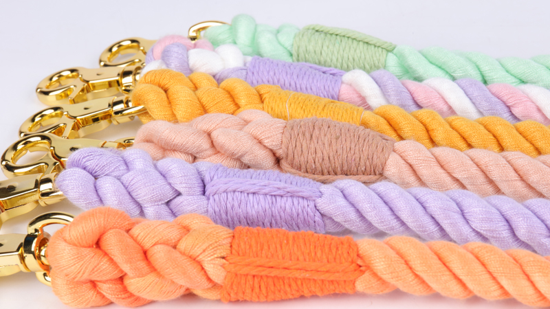 Laisses pour chiens : quel type convient le mieux à votre chien ? 10