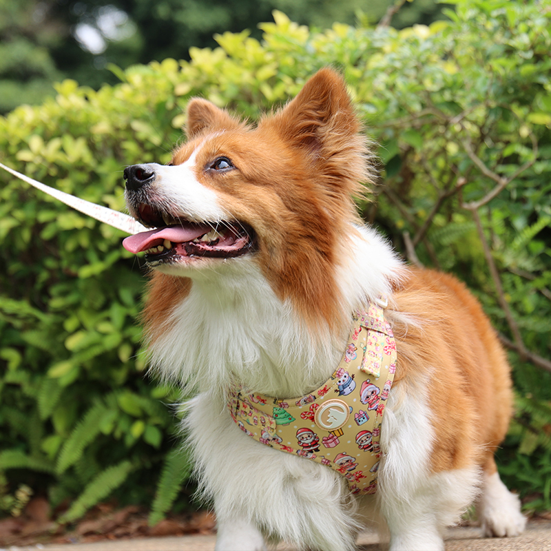 Why Neoprene Dog Harnesses Are a Top Seller 7