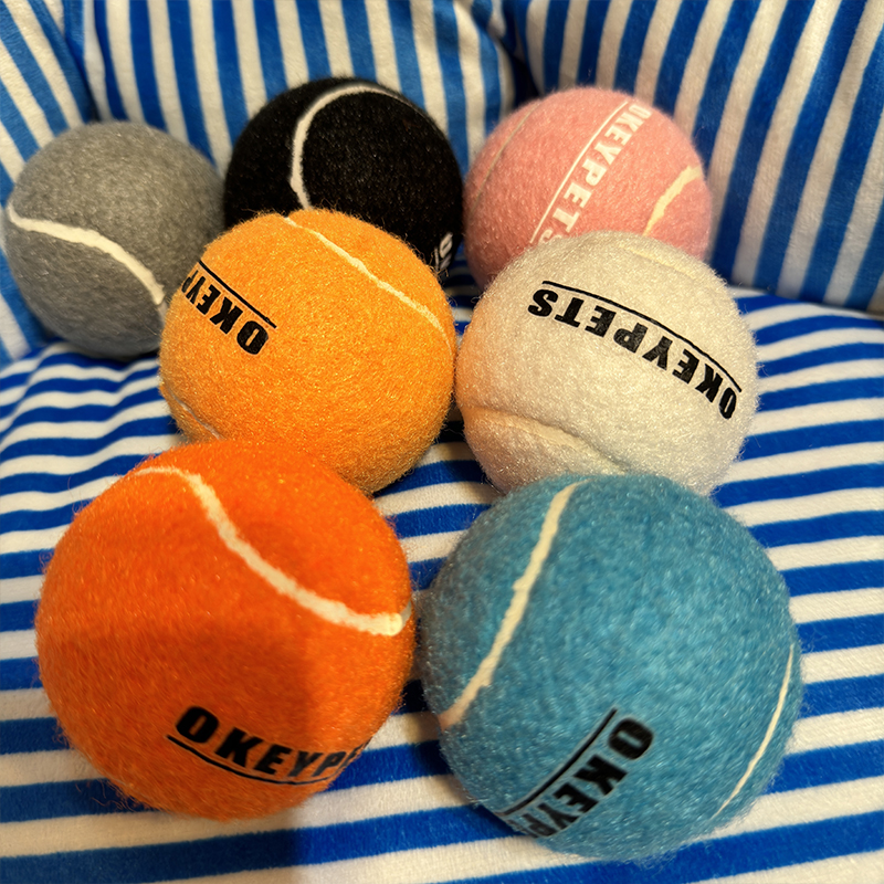 Les 10 meilleures balles rebondissantes pour animaux de compagnie de 2026 2