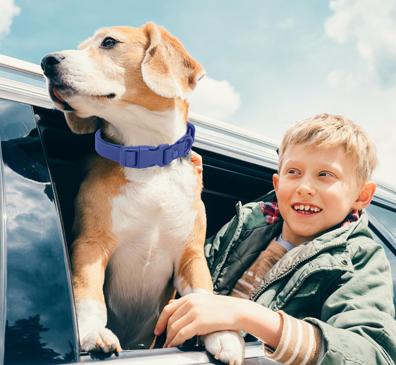 Slik tar du en biltur med hunden din: En komplett guide 5