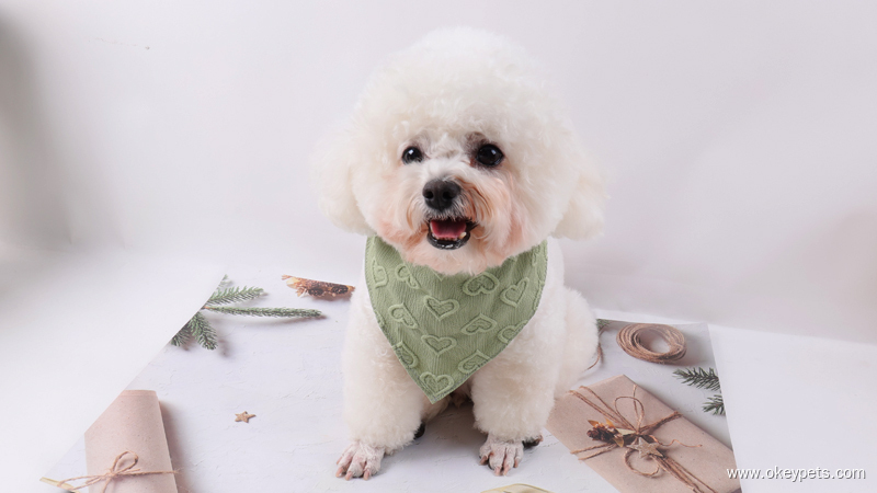 Les dix principaux fabricants de bandanas pour chiens en Chine 2