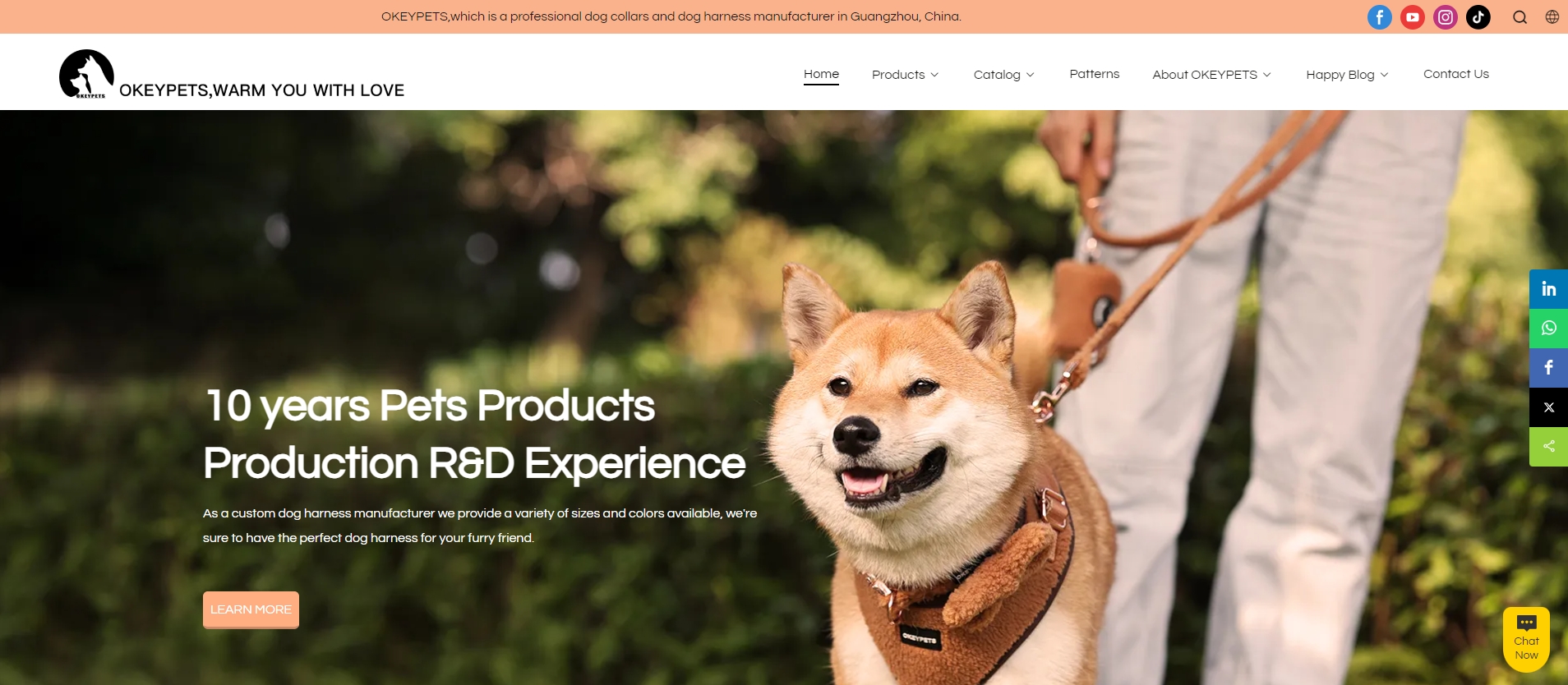 Sådan starter du en online virksomhed med kæledyrsforsyninger 4