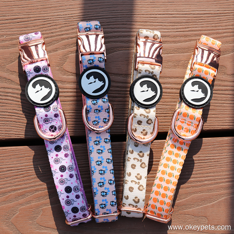 Cómo hacer que tu perro use un collar 3