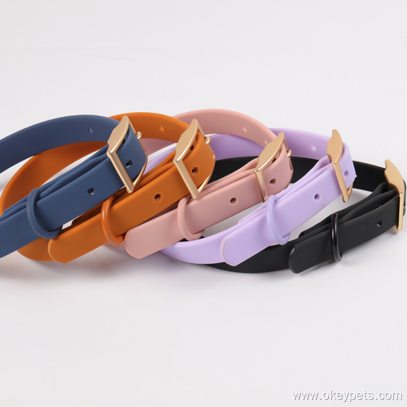 Cómo hacer que tu perro use un collar 4