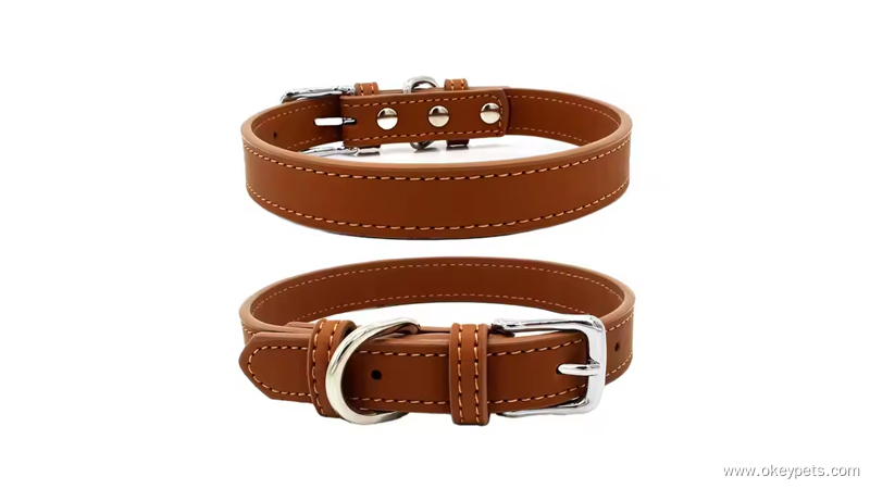 مواد مختلفة لأطواق الكلاب 4