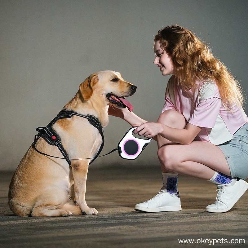 Caractéristiques de la laisse LED pour chien pour les promenades nocturnes 1