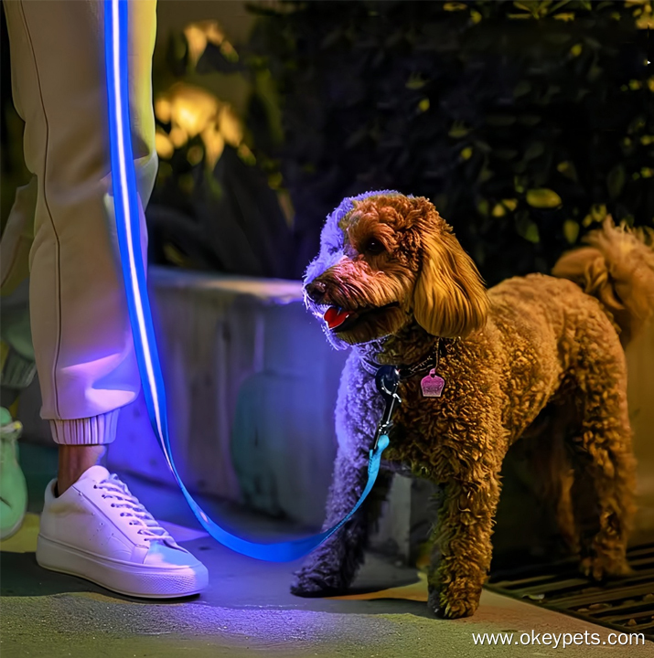 Caractéristiques de la laisse LED pour chien pour les promenades nocturnes 4