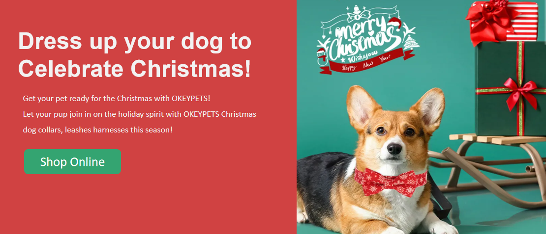 كيفية تزيين كلبك لعيد الميلاد 1