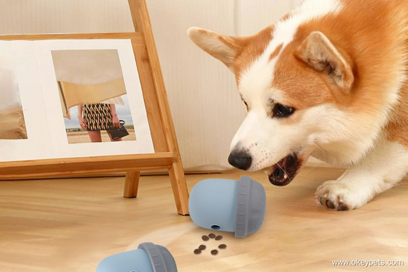 Hvad er den ultimative guide til slow feeders til kæledyr? | OKEYPETS 10